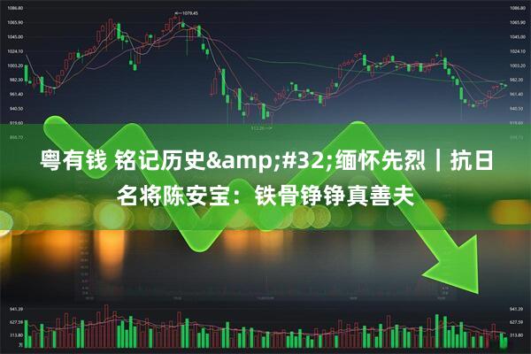 粤有钱 铭记历史&#32;缅怀先烈｜抗日名将陈安宝：铁骨铮铮真善夫
